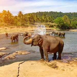 08 Days 07 Nights Sri Lanka tour package-Srilankaprivatedriver