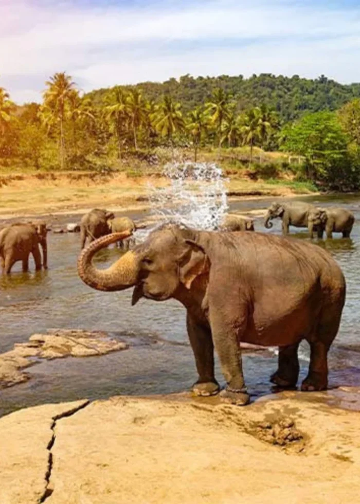 08 Days 07 Nights Sri Lanka tour package-Srilankaprivatedriver