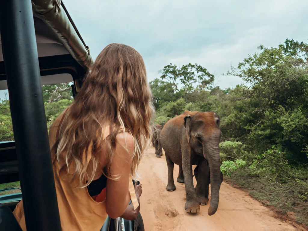 private-driver-sri-lanka